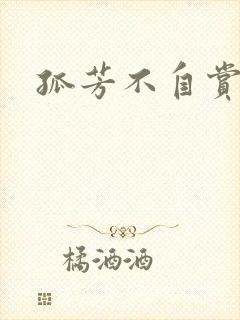 孤芳不自赏小说