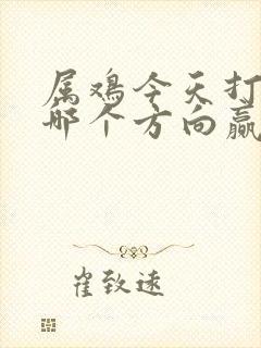 属鸡今天打牌坐哪个方向赢封面