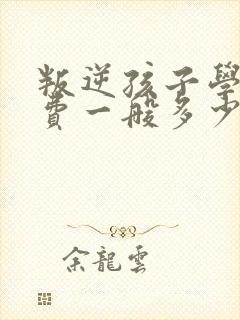 叛逆孩子学校收费一般多少