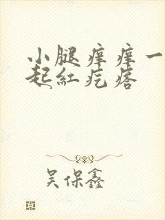 小腿痒痒一挠就起红疙瘩封面