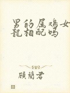 男的属鸡女的属龙相配吗封面