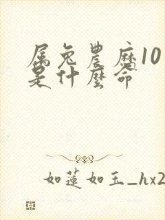 属兔农历10月是什么命封面