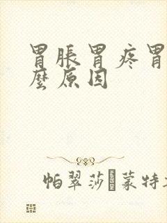 胃胀胃疼胃顶什么原因