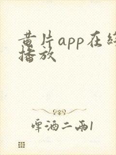 黄片app在线播放