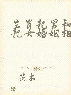 生肖龙男和生肖龙女婚姻相配吗