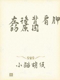 左后背肩胛骨疼的原因