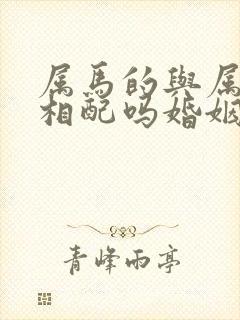 属马的与属兔的相配吗婚姻如何