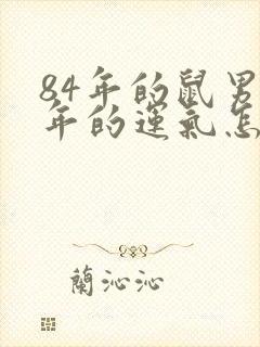 84年的鼠男今年的运气怎么样