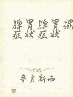 脾胃脾胃湿气重症状症状