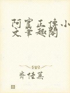 阿宾正传小说全文笔趣阁封面