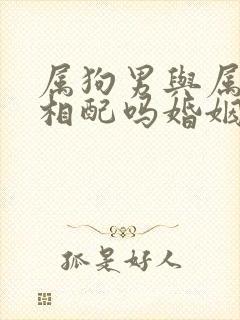 属狗男与属龙女相配吗婚姻