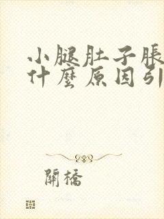 小腿肚子胀疼是什么原因引起的女性怎么治疗封面