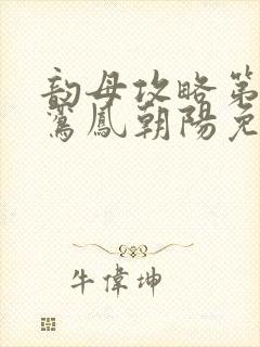 韵母攻略第二部鸾凤朝阳免费阅读