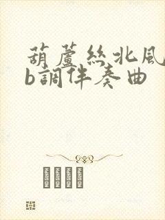 葫芦丝北风吹降b调伴奏曲封面