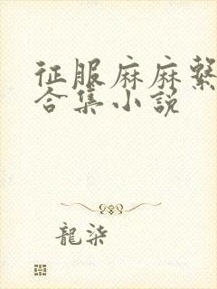 征服麻麻系列大合集小说