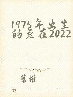 1975年出生的兔在2022年的运程