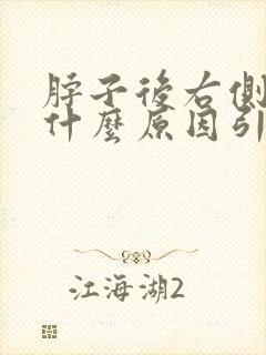 脖子后右侧疼是什么原因引起的