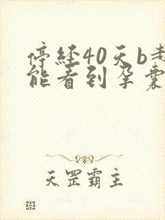 停经40天b超能看到孕囊吗