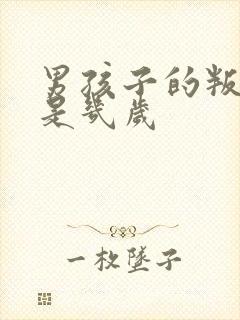 男孩子的叛逆期是几岁