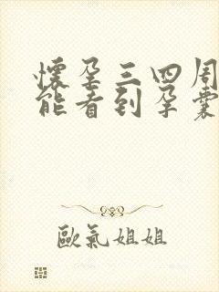 怀孕三四周b超能看到孕囊吗