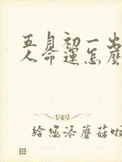 五月初一出生的人命运怎么样封面