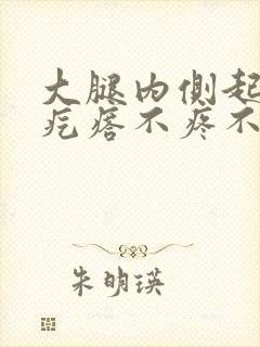 大腿内侧起红色疙瘩不疼不痒