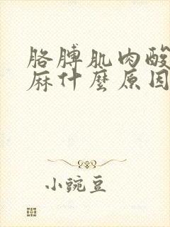 胳膊肌肉酸痛手麻什么原因