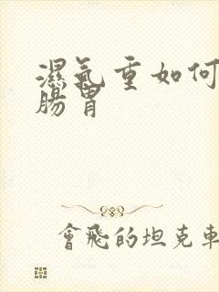 湿气重如何调理肠胃封面