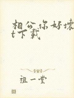 相公你好坏txt下载
