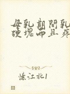 母乳期间乳房有硬块而且疼怎么办吃什么药封面