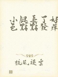 小腿长了好多红色点点发痒封面