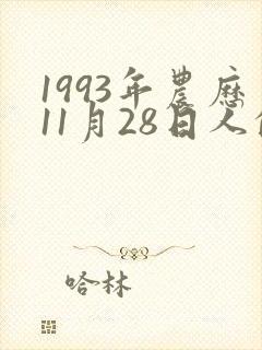 1993年农历11月28日人的命运