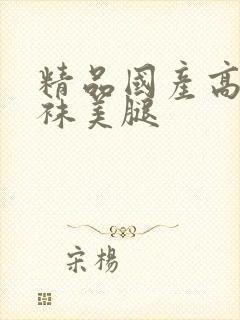 精品国产高跟丝袜美腿