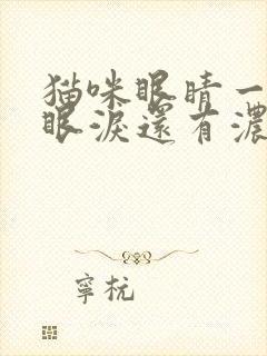 猫咪眼睛一直流眼泪还有浓浓的眼屎