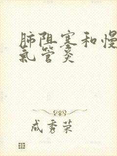 肺阻塞和慢性支气管炎封面