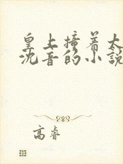 皇上撞着太子妃沈音的小说叫什么封面