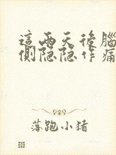 这两天后脑勺左侧隐隐作痛封面