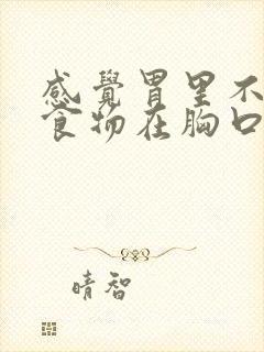 感觉胃里不消化食物在胸口堵着封面