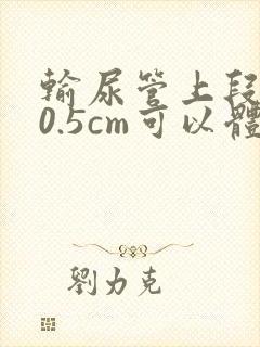 输尿管上段结石0.5cm可以体外碎石吗