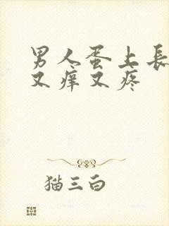 男人蛋上长疙瘩又痒又疼