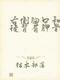 右侧胸口和右侧后背肩胛骨位置疼