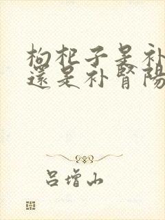 枸杞子是补肾阴还是补肾阳封面