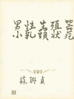 男性生殖器上长小乳头状疙瘩