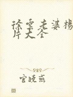 徐云老婆杨婷照片大全