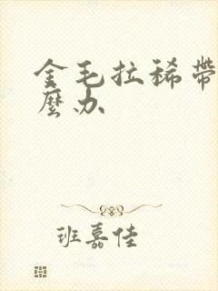 金毛拉稀带血怎么办