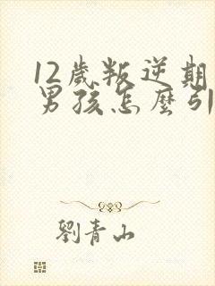 12岁叛逆期的男孩怎么引导