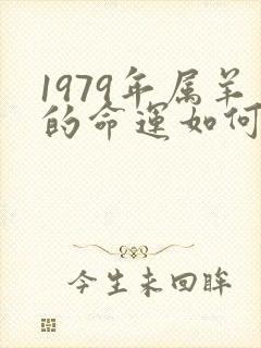 1979年属羊的命运如何