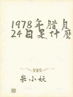 1978年腊月24日是什么命