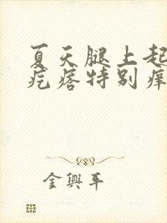 夏天腿上起小红疙瘩特别痒用什么药