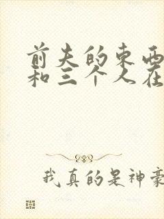 前夫的东西很大和三个人在一起封面